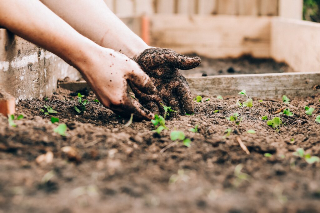 Dirt Removal Sydney